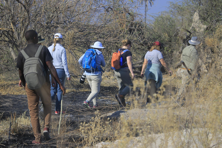 Delta del Okavango: Recorrido con safaris y viajes en mokoro