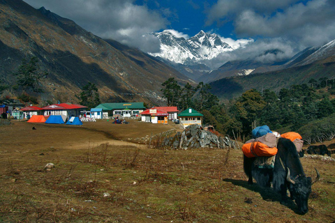 15-Day Everest Base Camp Trek