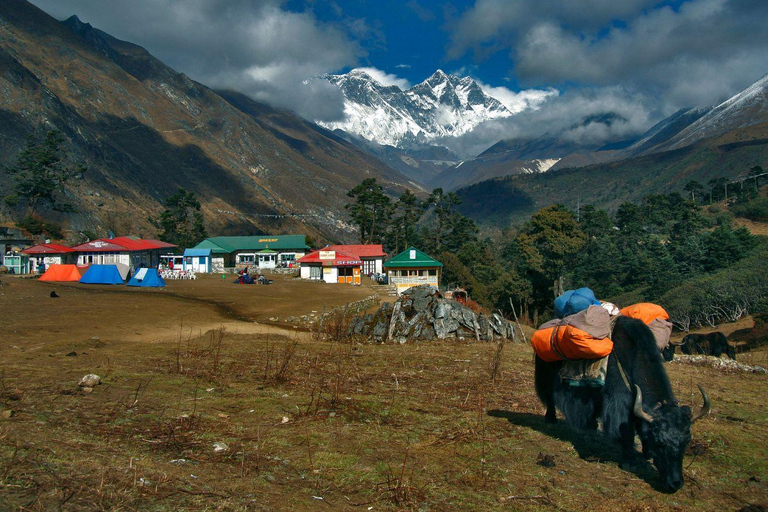 15-Day Everest Base Camp Trek