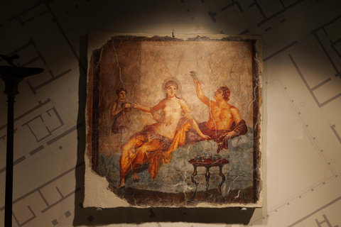 Herculaneum Guided Tour with Fast Train from Rome French language tour