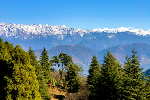 Catmandu: Caminhada de 8 dias no vale de Langtang com o miradouro de Kyanjin Ri