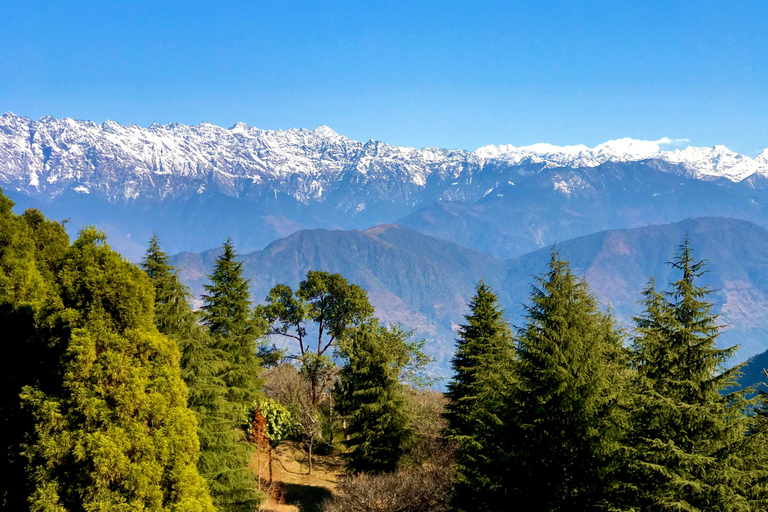 Catmandu: Caminhada de 8 dias no vale de Langtang com o miradouro de Kyanjin Ri