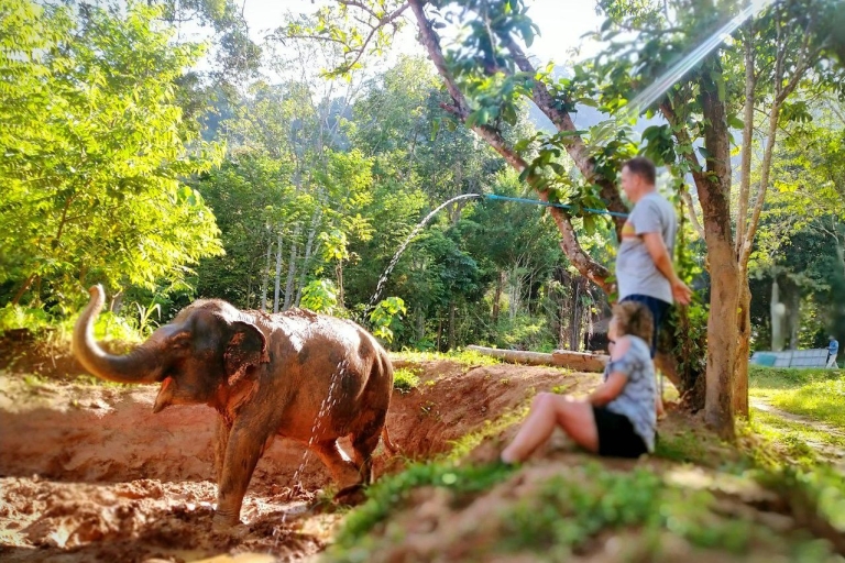 Phuket Elephant Nature Reserve - Ethical elephant sanctuary Short 90 Minutes Elephant Adventure