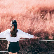 Jeju: 2026 Autumn Tour with Pink Muhly Festival and Hotel Pickup Jeju: 2026 Autumn Tour with Pink Muhly Festival and Hotel Pickup