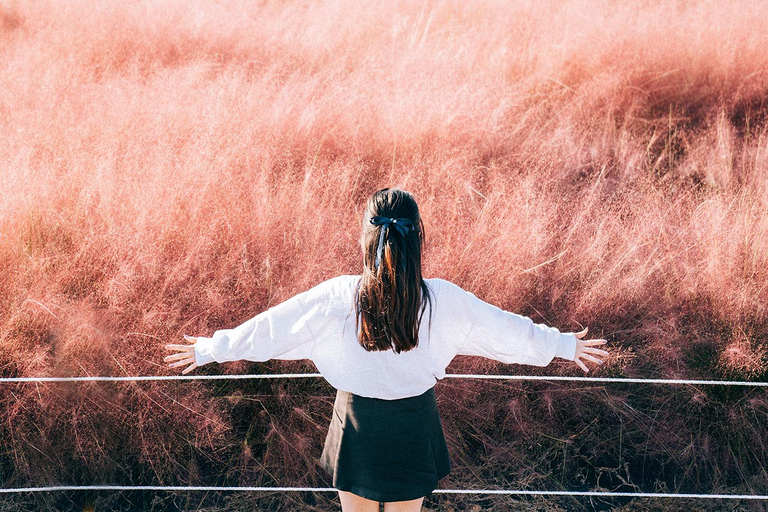 2024 Tour autunnale di Jeju con il Pink Muhly Festival