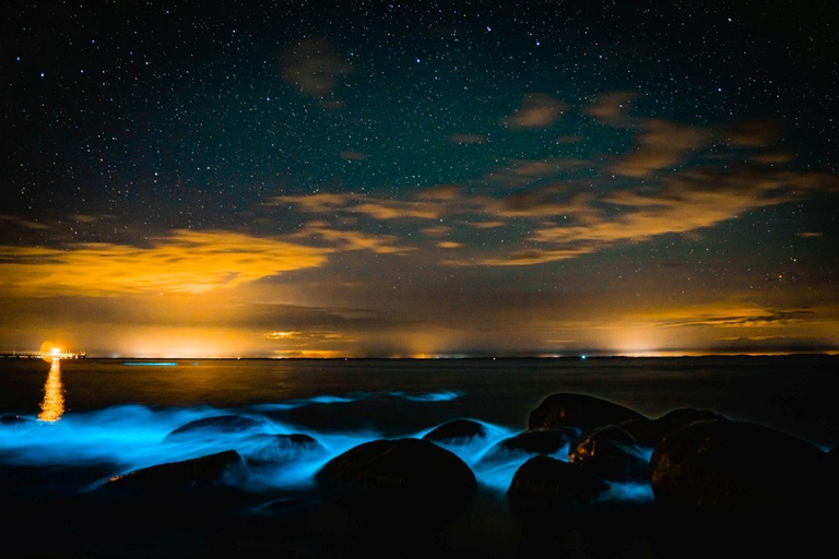 Fort Flagler, WA: Bioluminescence Kayak Tour
