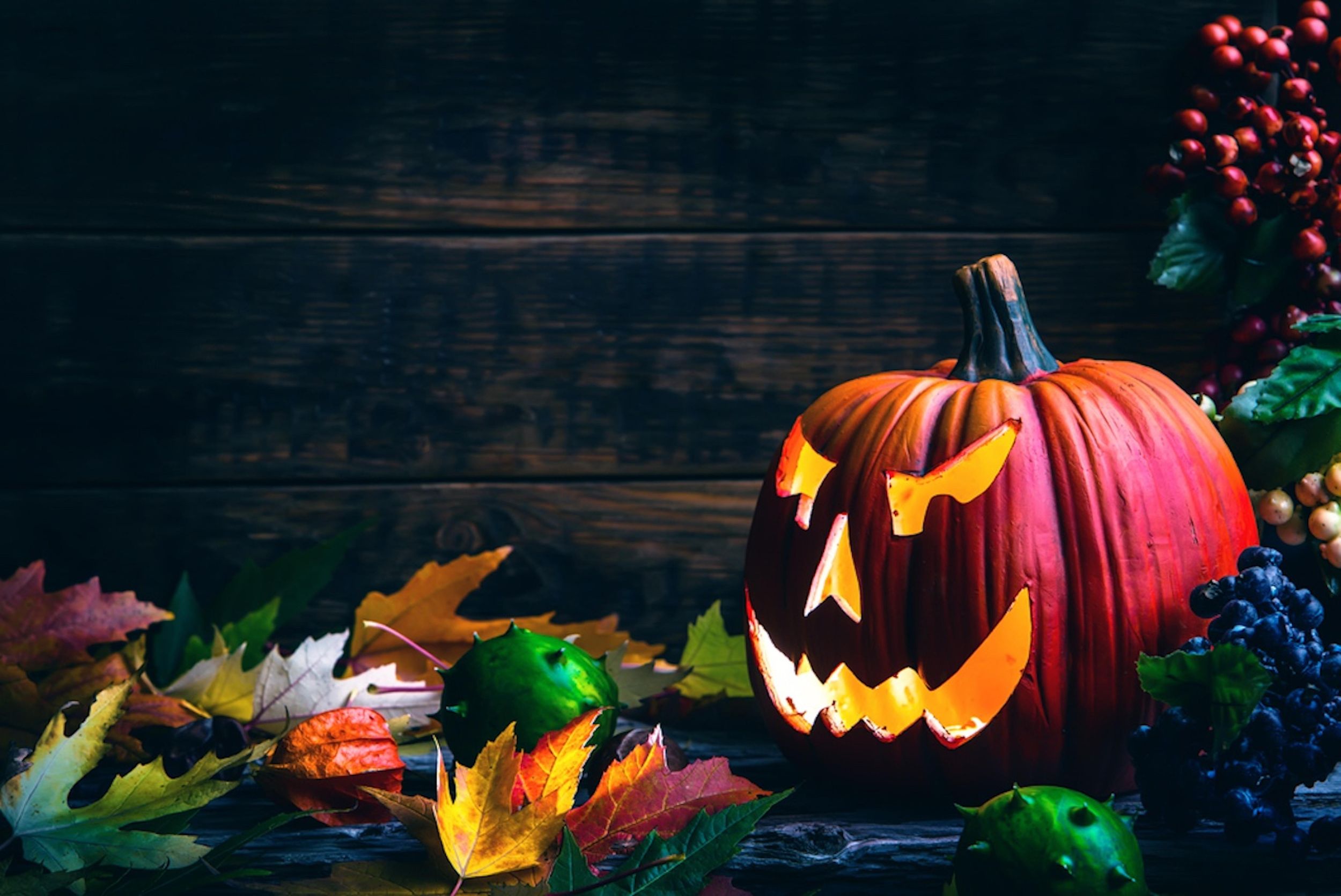 Halloween für Kinder in Siegburg mit Geisterüberraschung
