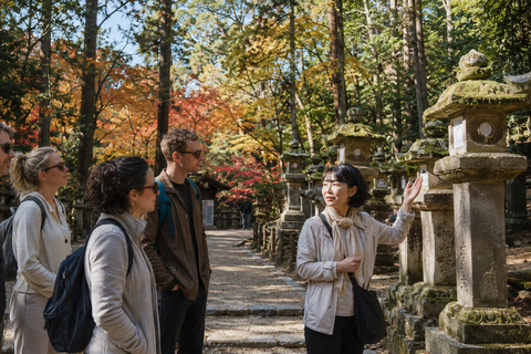 Nara: Autumn Colors, Deer & Historic Park Walk Early Bird 20% Off – Limited Autumn Offer