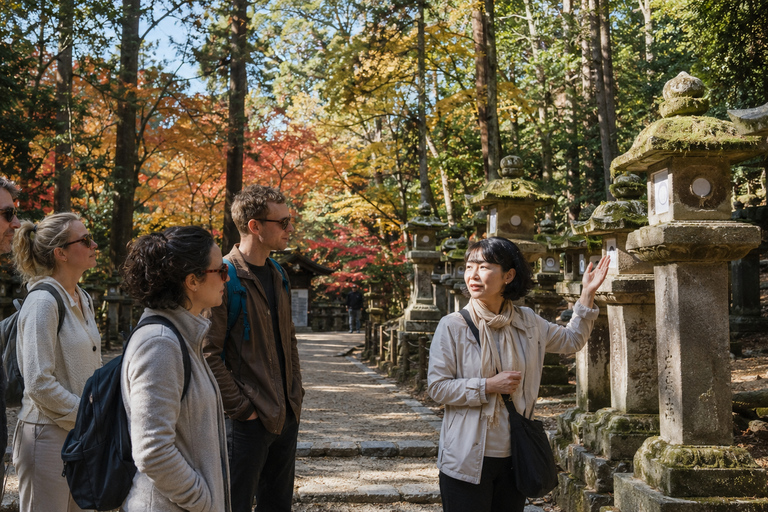 Nara: Autumn Colors, Deer & Historic Park Walk Early Bird 20% Off – Limited Autumn Offer