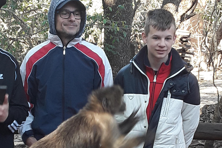 The Elephant and Monkey Sanctuary.