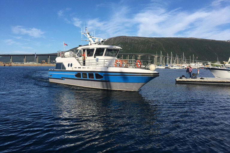 Tromsø: Summer Evening Cruise with Activities