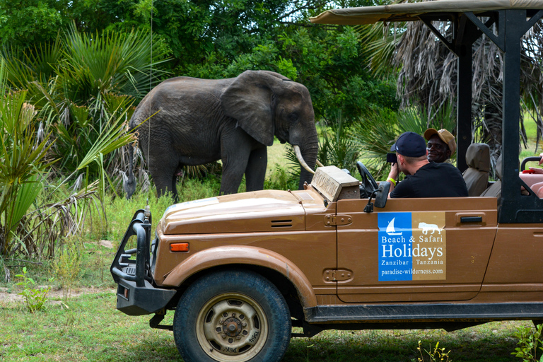 Depuis Zanzibar : Safari de nuit dans le Selous G.R. avec volssafari partagé