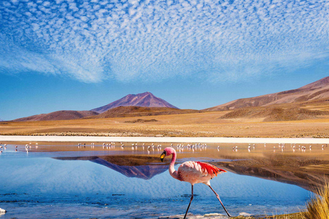 Van Atacama | Salar de Uyuni 4 dagen het grootste zoutmeer