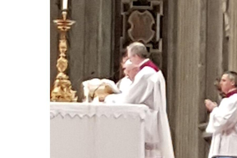 Papstaudienz, Vatikanische Museen und Sixtinische Kapelle Tour