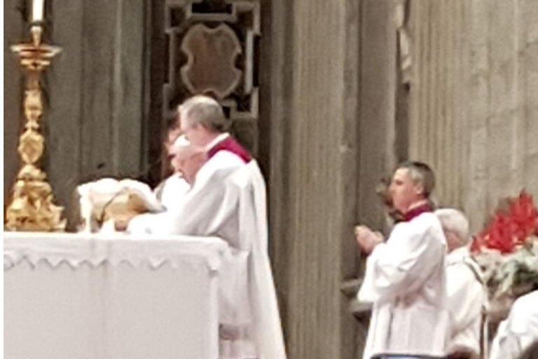 Papstaudienz, Vatikanische Museen und Sixtinische Kapelle Tour