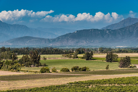 Expérience Haras : escapade dans les vignobles, vin et dégustationsExpérience Icono – 4 dégustations de vin