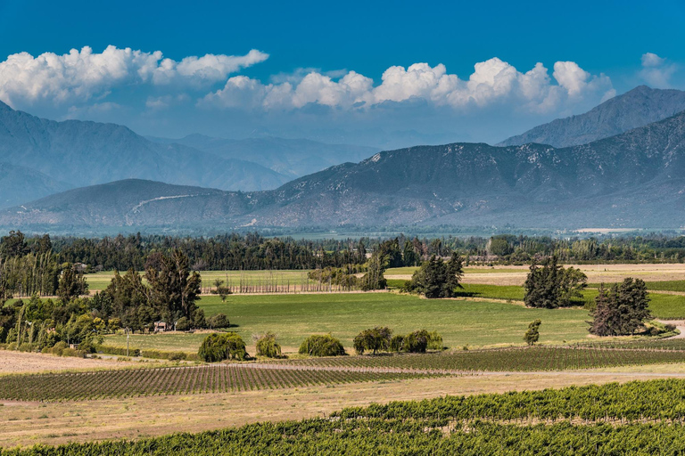 Expérience Haras : escapade dans les vignobles, vin et dégustationsExpérience Icono – 4 dégustations de vin