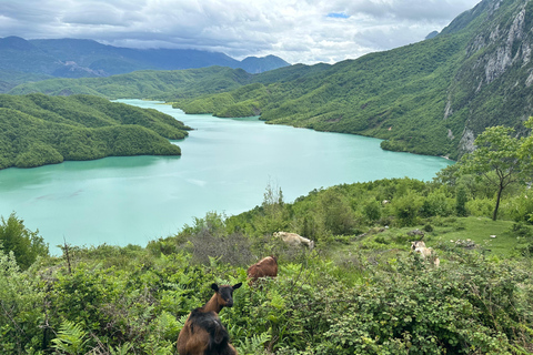 Tirana: Bovilla See und Gamti Berg Wandertour