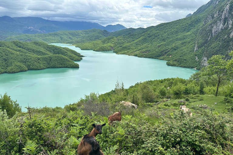 Tirana: Bovilla Lake and Gamti Mountain Hiking Tour