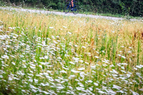 Olot: Guided Road Bike Route through the Pyrenees Olot: Guided Road Bike Tour in the Pyrenees