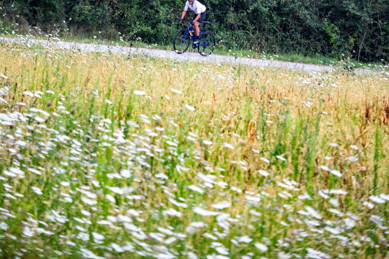 Olot: Guided Road Bike Route through the Pyrenees Olot: Guided Road Bike Tour in the Pyrenees