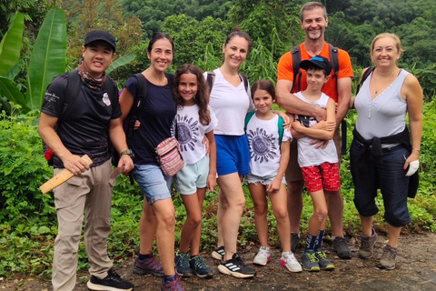 Chiang Rai: Jungle Adventure-Group Trekking & Bamboo Cooking