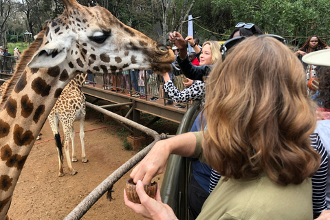 Nairobi-tour naar Nationaal Park, olifanten- en giraffencentrum.