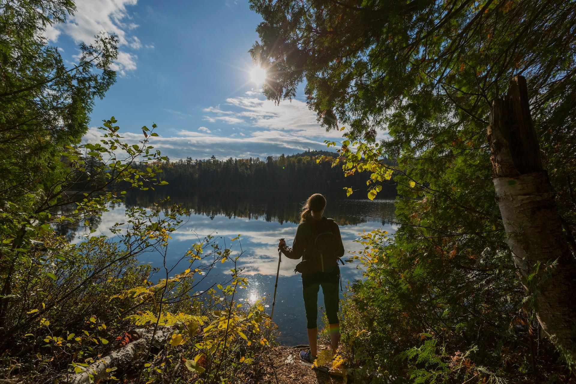 Ab Montreal: Wander-Tagestour im Park Forêt Ouareau