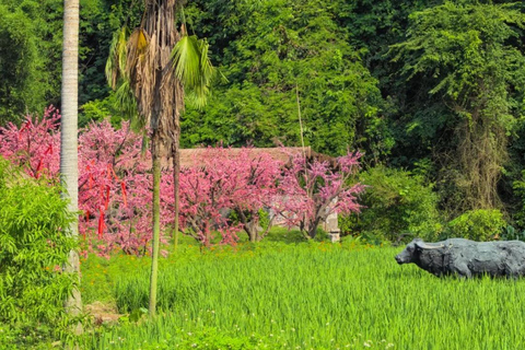 Guilin: Reed Flute Cave, Idyllic Beauty & Liu Sanjie Show Guilin: Reed Flute Cave, Idyllic Beauty & Show Tour Guide
