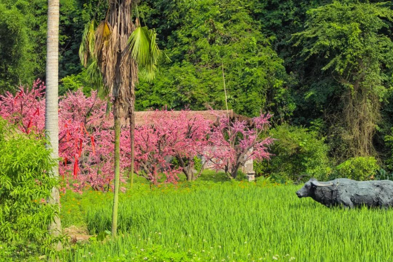 Guilin: Reed Flute Cave, Idyllic Beauty & Liu Sanjie Show Guilin: Reed Flute Cave, Idyllic Beauty & Show Tour Guide