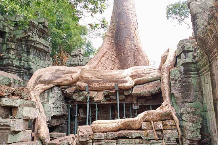 Siem Reap : Visite d&#039;Angkor Wat, Angkor Thom et Banteay Srei