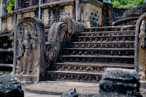 Polonnaruwa: Ancient City Tour & Minneriya Elephant Safari Pickup From Dambulla/Sigiriya/Habarana
