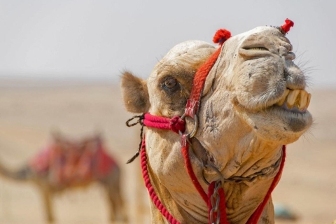 Z Hurghady: Sunset Quad Safari i przejażdżka na wielbłądach