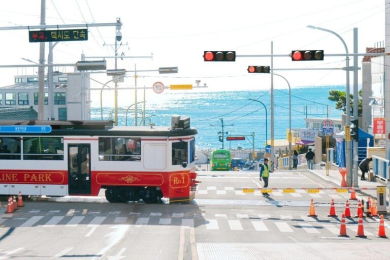 Busan: Customized Private Car Tour City Sights&Local Gems Pick-up anywhere in Busan