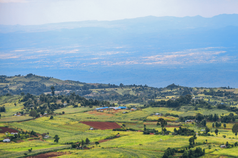 Maasai Mara Magic:3-day Safari adventure