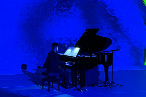 ✨Immersive Light and Music Show in Alicante I Under The Tree