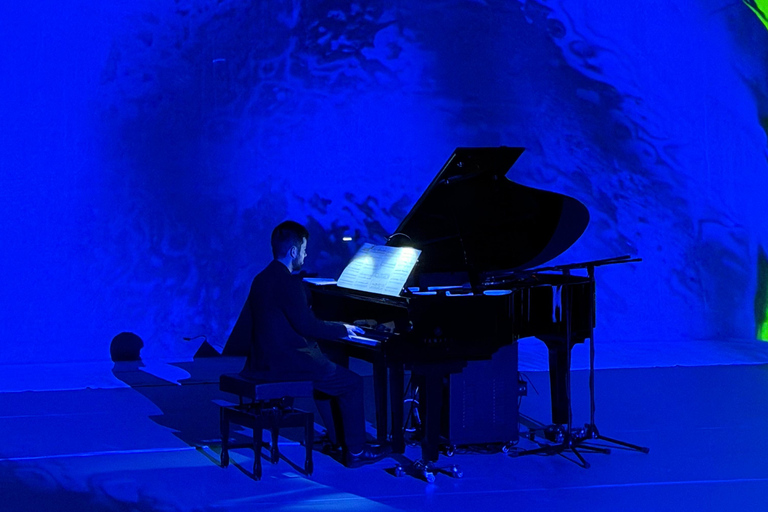 ✨Immersive Light and Music Show in Alicante I Under The Tree