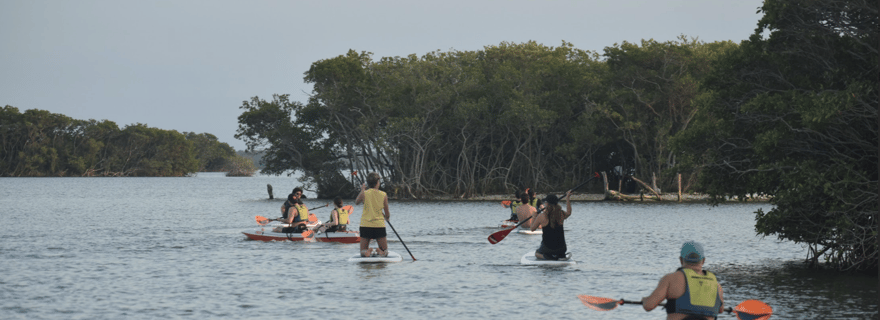 Veracruz, Location de matériel de Kayak ou Paddle à Mandingue