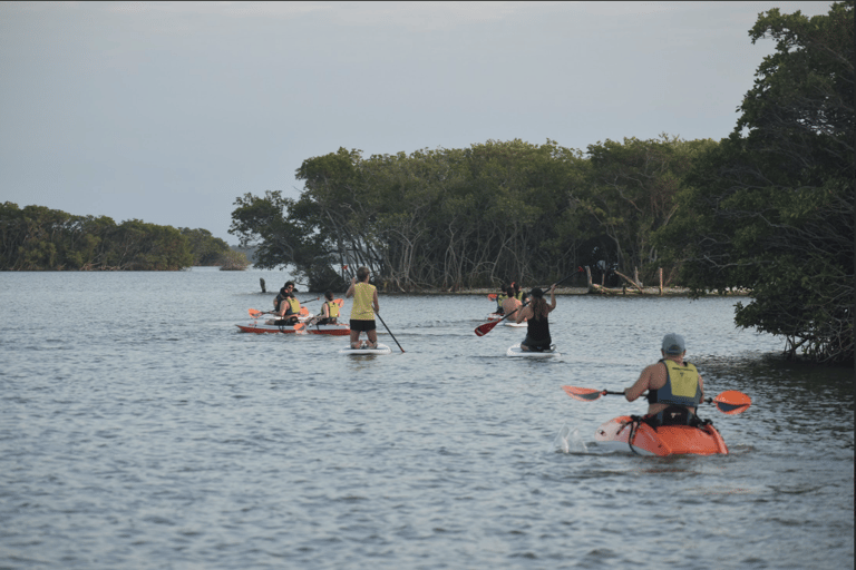 Veracruz, Kayak or Paddle equipment rentals in Mandinga Kayak or Paddle equipment rental in Mandinga