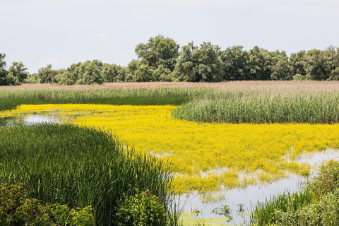 The Magic of Transylvania and the Danube Delta: 8 Days