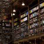 Monaco di Baviera: Visita guidata alla Biblioteca di Legge con biglietto d'ingresso