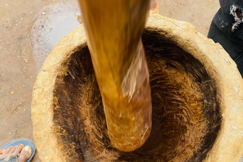 莫希：城镇之旅 - 购物、瀑布、咖啡之旅和午餐莫希：仅参观马特鲁尼瀑布徒步（含午餐）