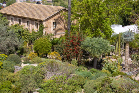 MUCBO | Jardí Botànic de Sóller - Museu Balear de Ciències Naturals (Balearskie Muzeum Nauk Przyrodniczych)