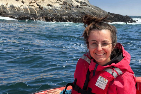 Papudo: Horseback Riding, Penguin Watching, and Sailing