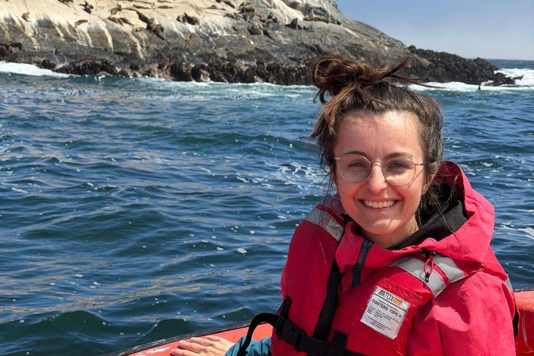 Papudo: Horseback Riding, Penguin Watching, and Sailing