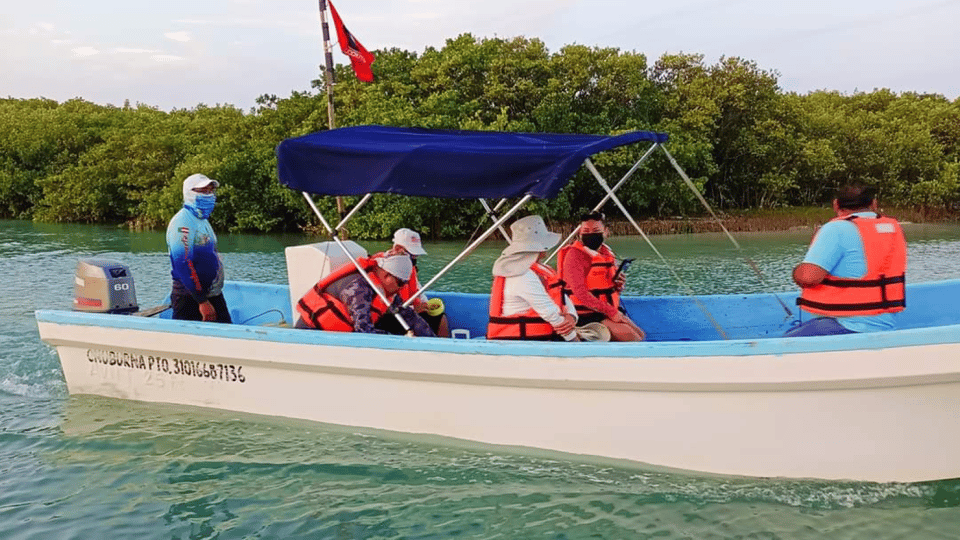 progreso isla columpio and pig beach club day pass GetYourGuide