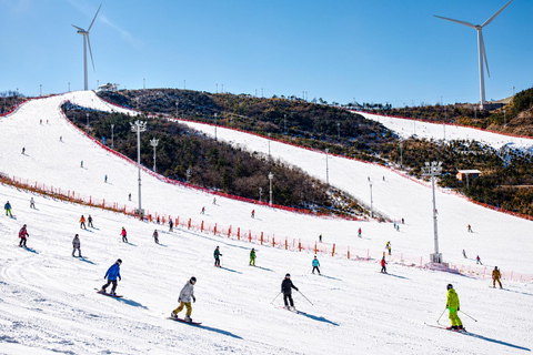[Official] Busan: Eden Valley Resort Winter Ski Day Tour SHUTTLE Only - Meet at Haeundae Station
