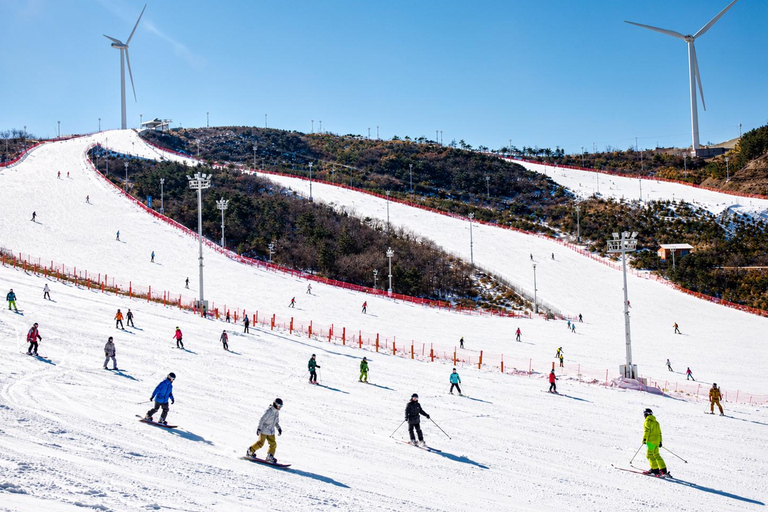 [Official] Busan: Eden Valley Resort Winter Ski Day Tour SHUTTLE Only - Meet at Haeundae Station