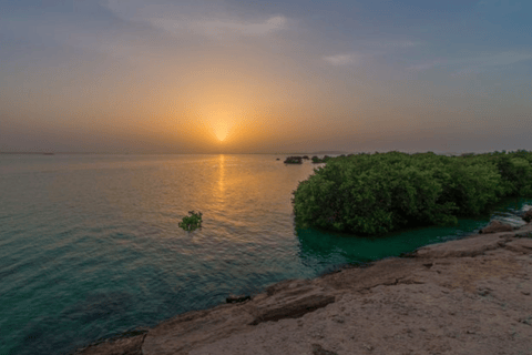 From Doha: Private Al Jassasiya, Zubarah & Purple Island. Private Tour