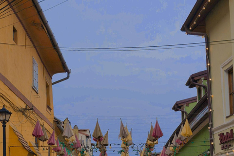 Brasov: Sighisoara & Viscri Village Private Tour